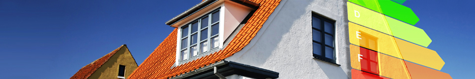 Banner - Rene Duttine