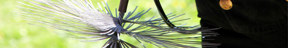 Banner - Rene Duttine